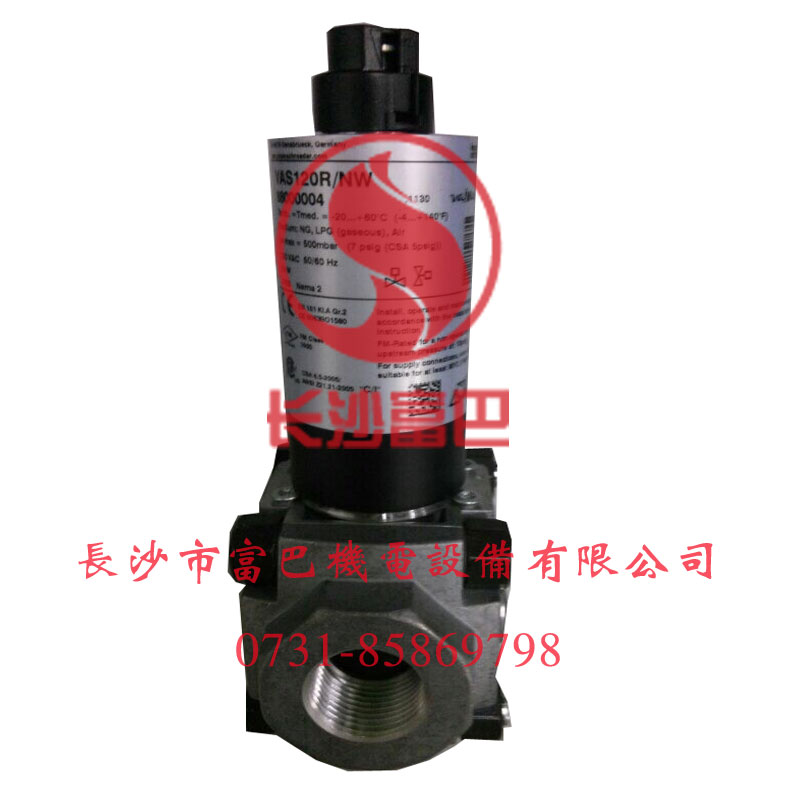 ���Ƶ�VASϵ��ȼ���